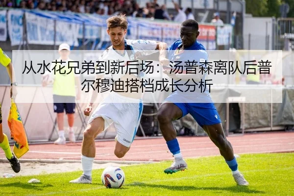 从水花兄弟到新后场：汤普森离队后普尔穆迪搭档成长分析 - yaxin